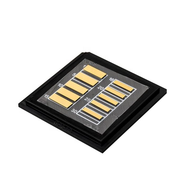 Principles of Optical Modules and Optical Chips
