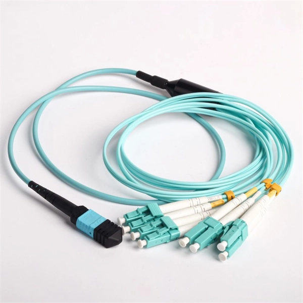 Basic parameters of intranet access switch