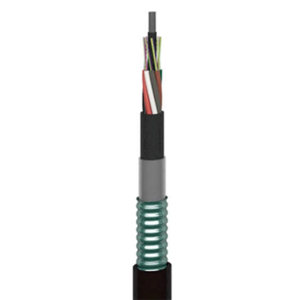 Fiber optic cable input on the front of the optical distribution box