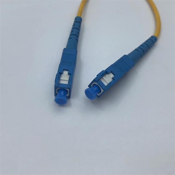 D80 fiber optic patch cord 2025