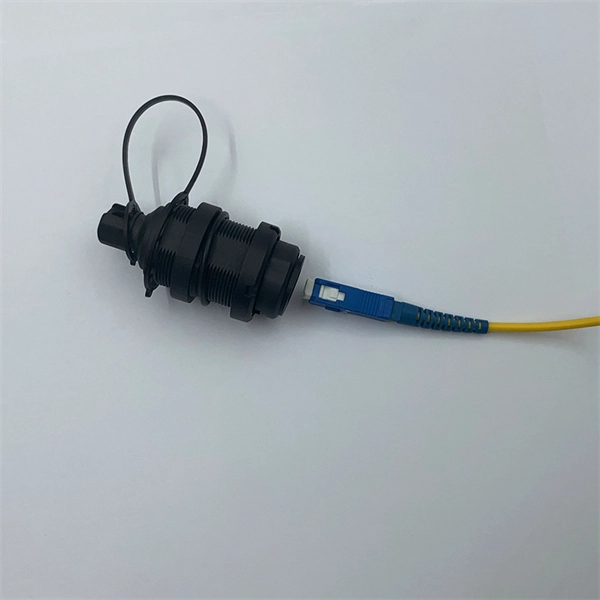 Connecting a 10 Gigabit optical module to a Gigabit module