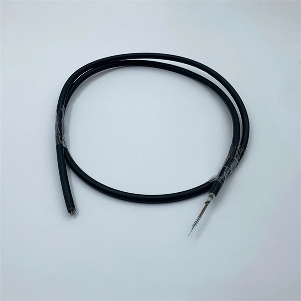 Do optical modules belong to optoelectronics 