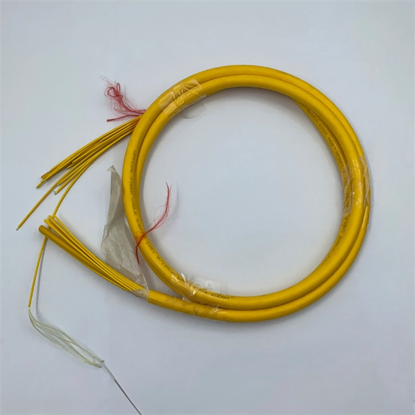 How much bandwidth does the optical cable support