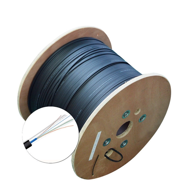 200Mbps fiber optic cable paired with a gigabit router